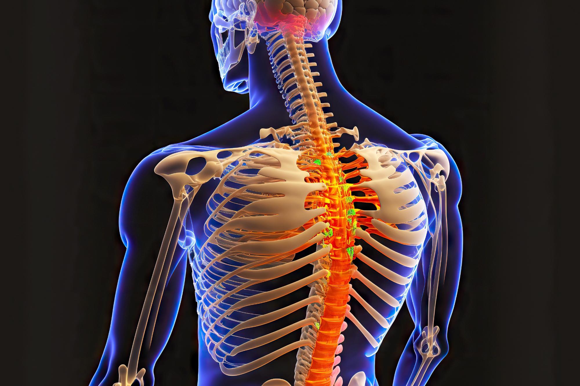 Atlas Chiropractic adjustment image